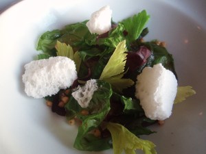 491693630_5b41aa8303[1]